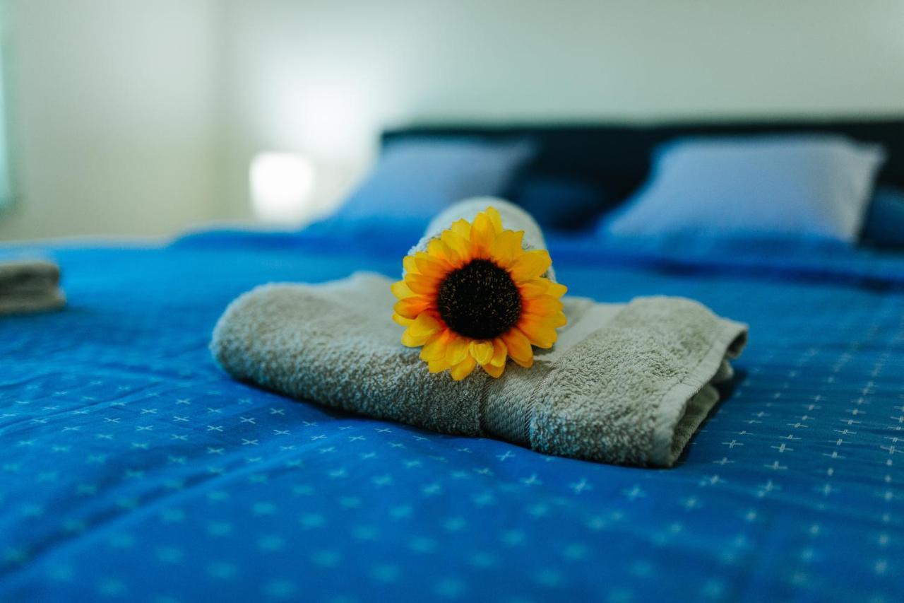 Sunflower Sombor Exterior photo